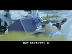 Une nouvelle bannière